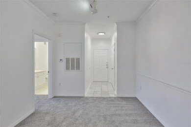 Enclave at Richmond Place, Tampa, FL 33647 - photo 7