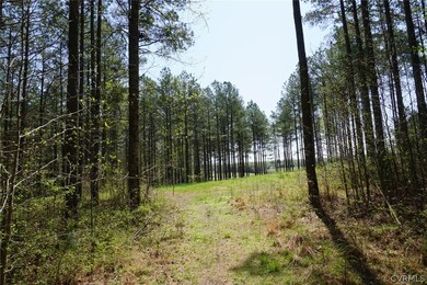 3729 Archies Way, Powhatan, VA 23139 - photo 3