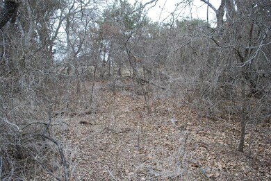 14067 Sandy Oaks Dr, Whitney, TX 76692 - photo 6