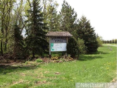 40607 Pine View Dr, Sauk Centre, MN 56378 - photo 3