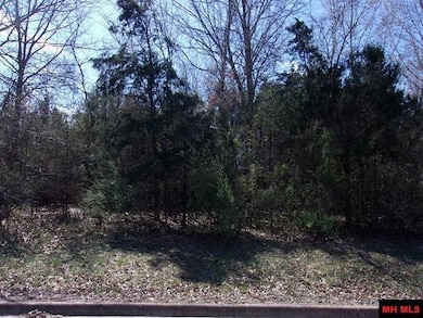 770-05063-000 8th St, Flippin, AR 72619 - photo 3