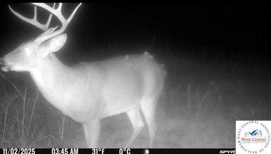 00 Tavern Creek Rd, Iberia, MO 65486 - photo 3