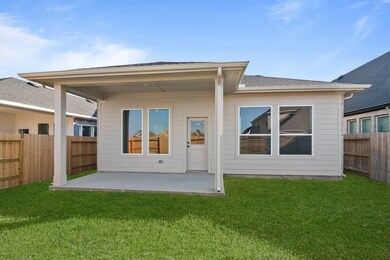 27138 Cutleaf Daisy Ct, Hockley, TX 77447 - photo 4