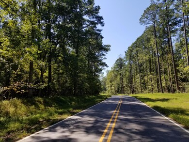 1006 Red Drum Way, New Bern, NC 28562 - photo 4