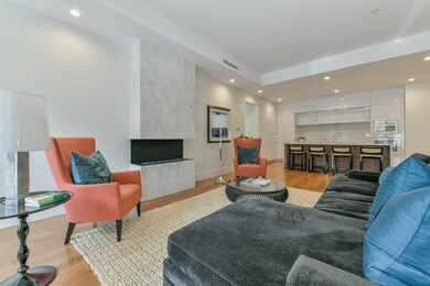 201 W Brookline St unit 103, Boston, MA 02118 - photo 6