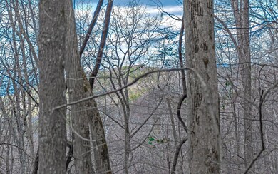 Additional View