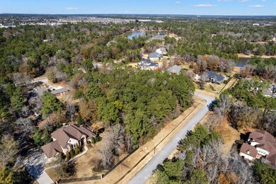 3711 Birnham Bend Cir, Spring, TX 77386 - photo 3