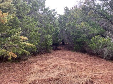 25030 Forrest Dr, Whitney, TX 76692 - photo 2