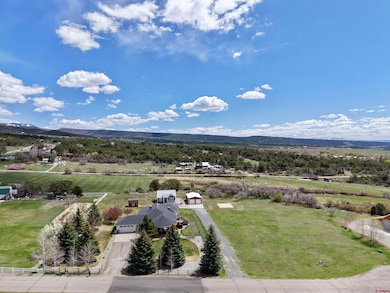 22876 Thunder Mountain Ln, Cedaredge, CO 81413 - photo 2