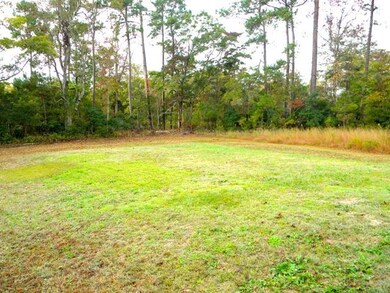 112 Emerald Ct, Holly Ridge, NC 28445 - photo 4