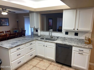 9731 W Wrangler Dr, Sun City, AZ 85373 - photo 5