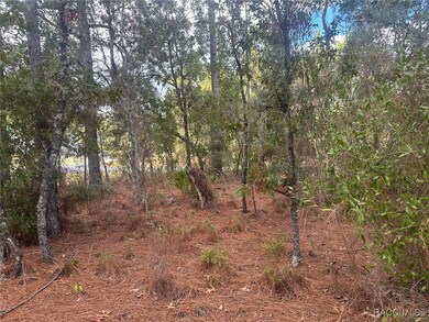 7779 N Cricket Dr, Citrus Springs, FL 34434 - photo 7