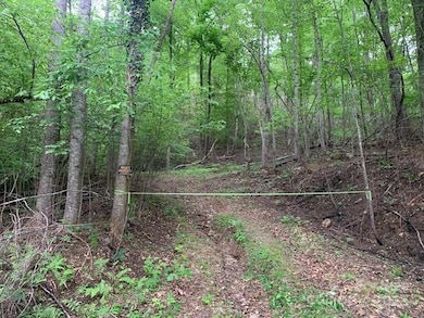 42.16 ACS Green River Cove Rd unit 42.162 AC., Saluda, NC 28726 - photo 3