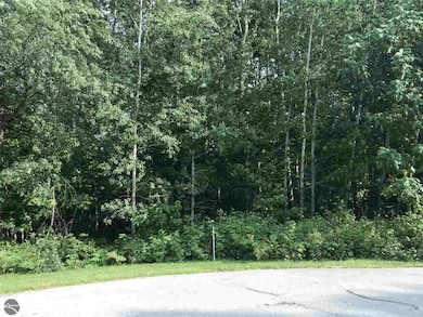 0 Wedgewood Dr unit 1940813, Cadillac, MI 49601 - photo 6