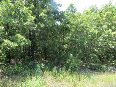 000 Bush Run, Mammoth Spring, AR 72554 - photo 5