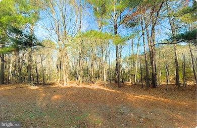 Lot 18 Peaceful Way, Exmore, VA 23350 - photo 3