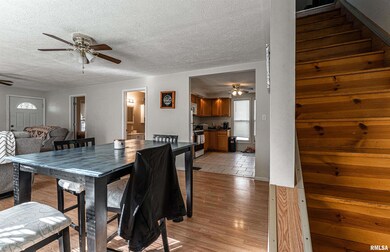 1024 Broadway St, Lincoln, IL 62656 - photo 7