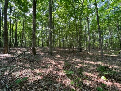 10.97 AC H R Huffer Rd, Allons, TN 38541 - photo 4