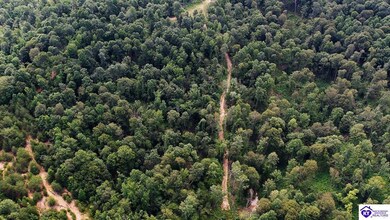 Tract 10 Cook Ln, Cromwell, KY 42333 - photo 6