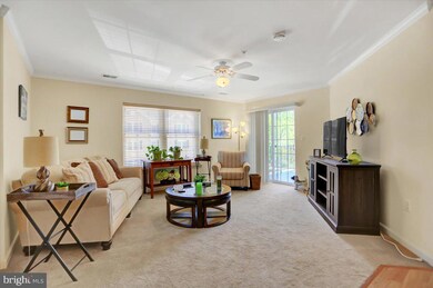 6502 Ridenour Way E unit 2A, Sykesville, MD 21784 - photo 4