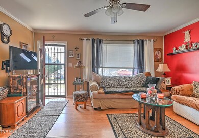 120 Jarrett Buck Loop, Johnson City, TN 37601 - photo 6