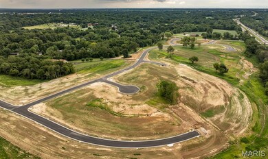 100 Quail Creek Ct, Glen Carbon, IL 62034 - photo 6