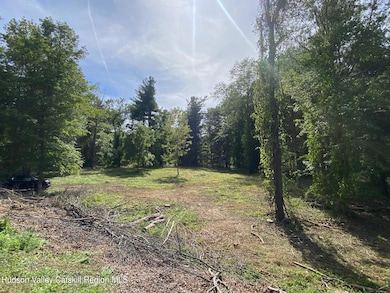 0 Thomas Rd, Claverack, NY 12521 - photo 2