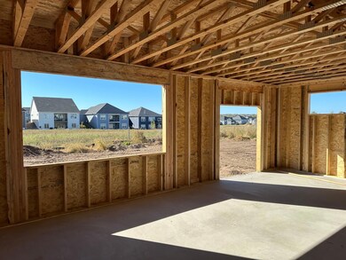South facing rear of the home which will let in a ton of sunshine!