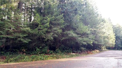 8821 129th Avenue Ct unit AI, Anderson Island, WA 98303 - photo 3