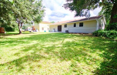 backyard2