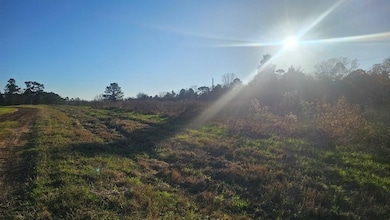 607 Co Rd 134, Garrison, TX 75946 - photo 2