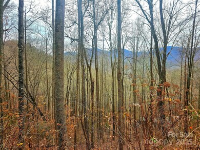 Take in the mountain views on each lot!