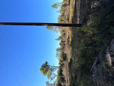 30 ac County Road 122, Nacogdoches, TX 75965 - photo 2