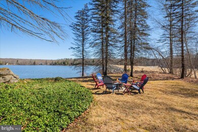 115 Podunk Path, Pocono Lake, PA 18347 - photo 6