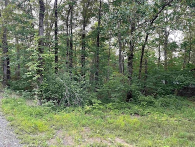 868 Watson Rd, Clinton, AR 72031 - photo 5