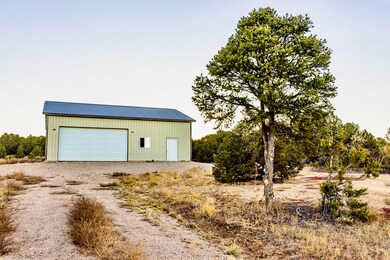 barn tree colorado IMN Heaven ranch (1)