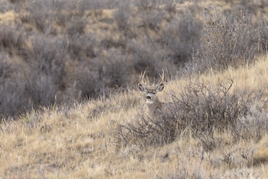 0 Tbd Iron Mountain Rd, Chugwater, WY 82210 - photo 5