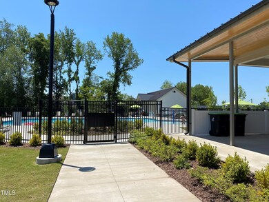 Amenity in rear looking over in pool doe
