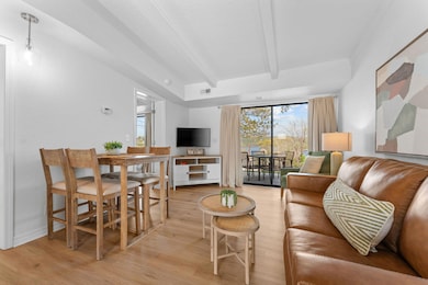 100 Getaway Cir unit 115, Kimberling City, MO 65686 - photo 4