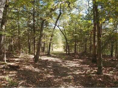 0 Water Wheel Ln, Ruth B Rural Township, MO 65686 - photo 7