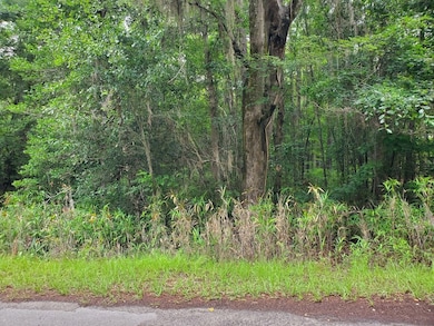 Tbd unit Sub, Manning, SC 29102 - photo 5