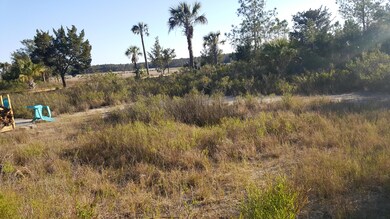 1456 Dupree Creek Rd, Awendaw, SC 29429 - photo 2