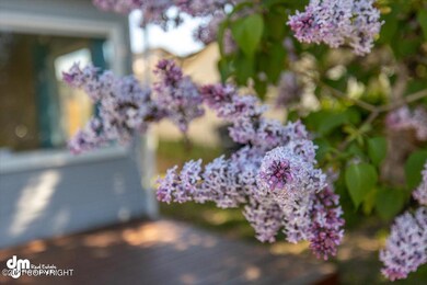 07-Tree_DMD_1626
