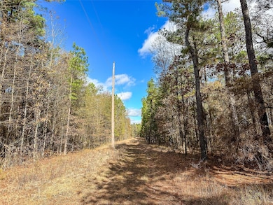 00 Cr 2235, Bagwell, TX 75412 - photo 4