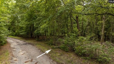 227 Will Dent Rd, Lexington, SC 29072 - photo 7