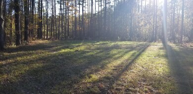 20181205_151010