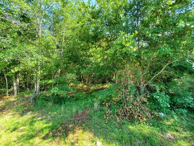 000 Morey Hill Rd, Baconton, GA 31716 - photo 3