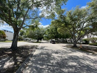 Street view- beautiful oak trees line the street.