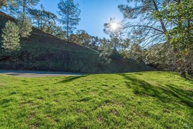 1159 Steele Canyon Rd, Napa, CA 94558 - photo 7