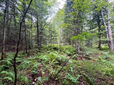 1.1 Farr Rd unit 1, Ohio, NY 13324 - photo 7